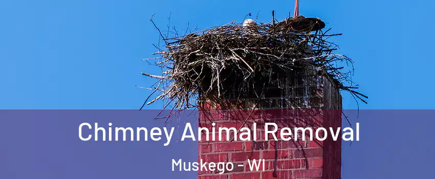  Chimney Animal Removal Muskego - WI