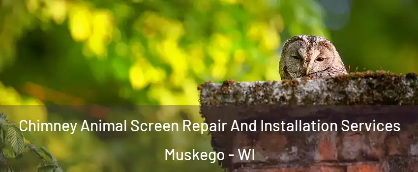  Chimney Animal Screen Repair And Installation Services Muskego - WI