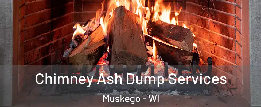  Chimney Ash Dump Services Muskego - WI