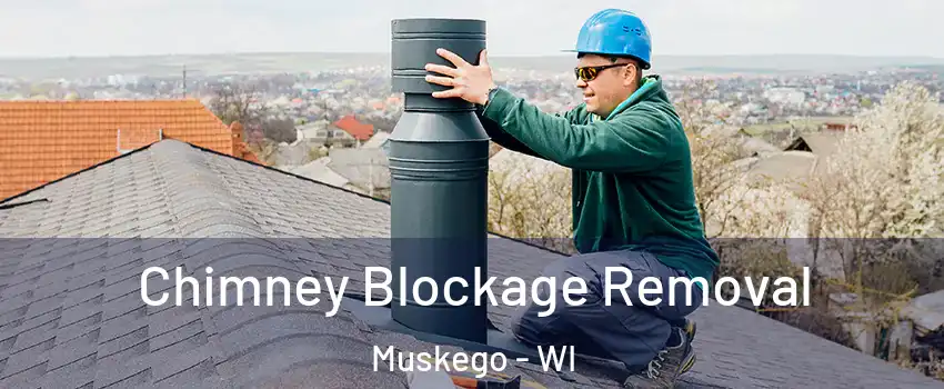  Chimney Blockage Removal Muskego - WI
