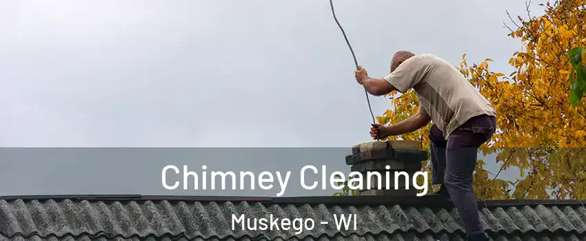  Chimney Cleaning Muskego - WI