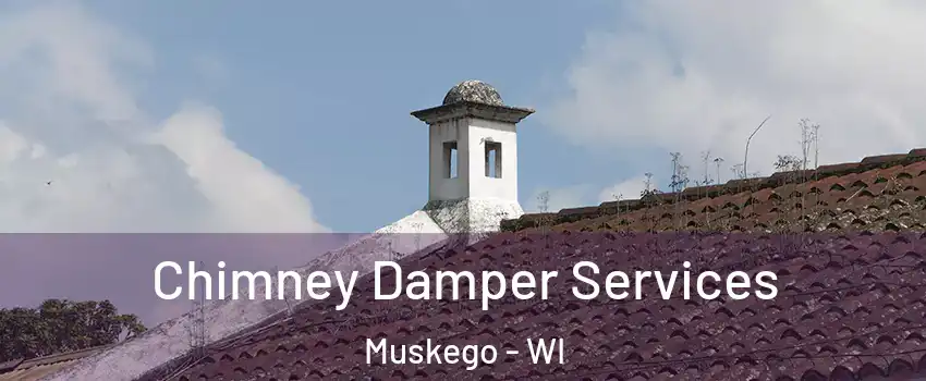  Chimney Damper Services Muskego - WI