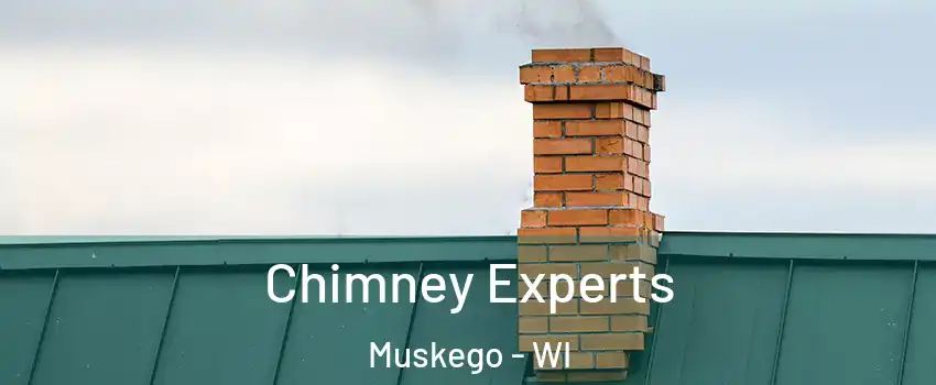 Chimney Experts Muskego - WI