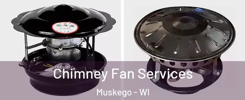  Chimney Fan Services Muskego - WI