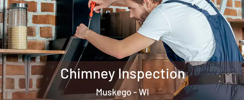  Chimney Inspection Muskego - WI