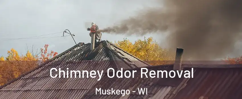  Chimney Odor Removal Muskego - WI