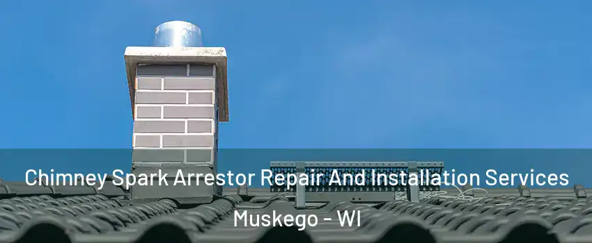  Chimney Spark Arrestor Repair And Installation Services Muskego - WI