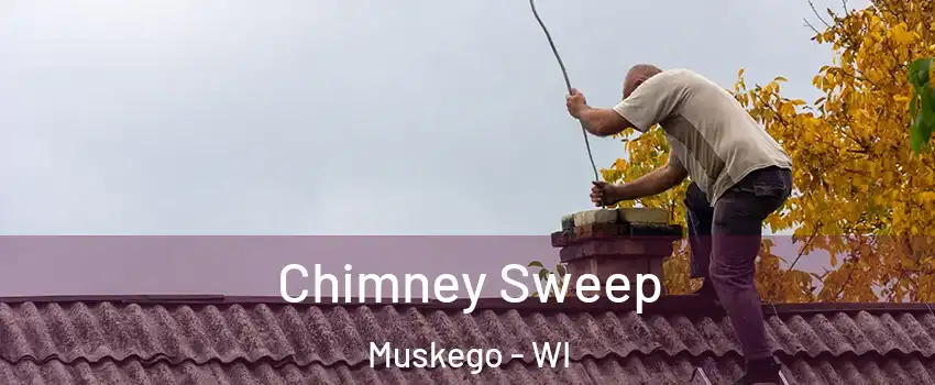 Chimney Sweep Muskego - WI