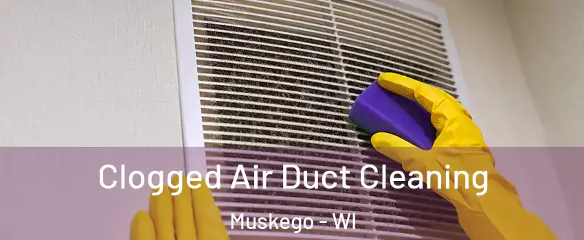  Clogged Air Duct Cleaning Muskego - WI