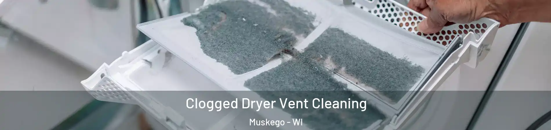  Clogged Dryer Vent Cleaning Muskego - WI