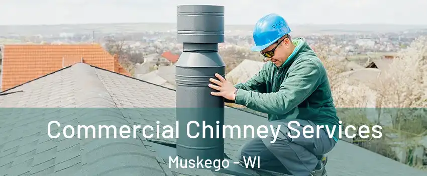  Commercial Chimney Services Muskego - WI