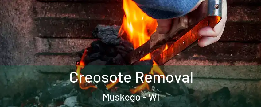  Creosote Removal Muskego - WI