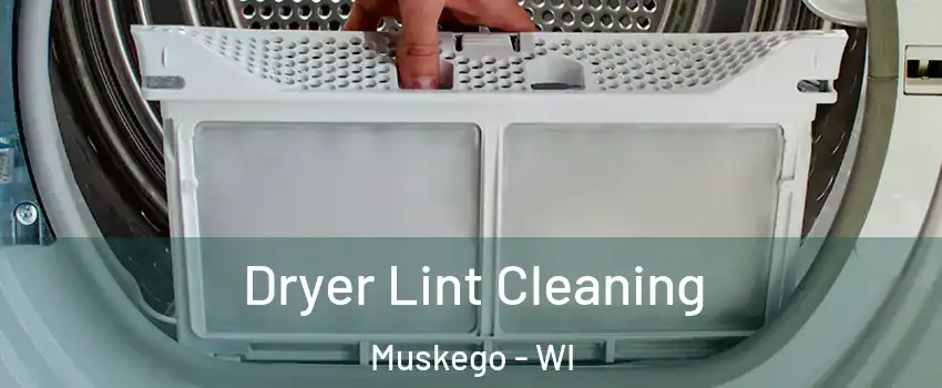  Dryer Lint Cleaning Muskego - WI
