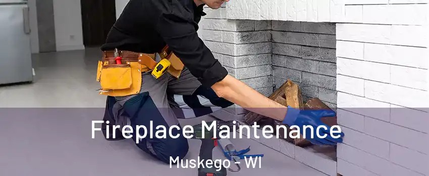  Fireplace Maintenance Muskego - WI