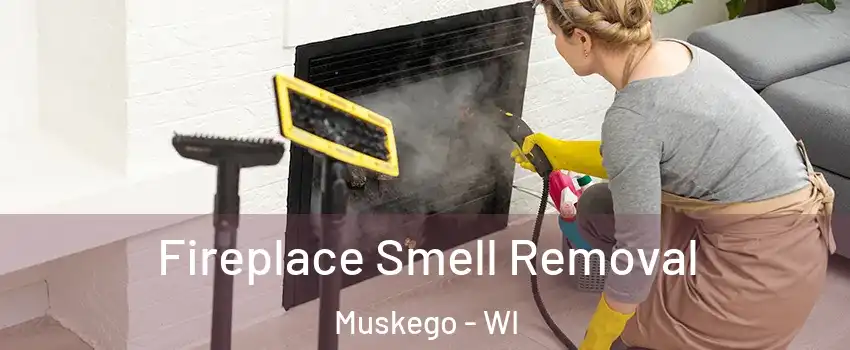  Fireplace Smell Removal Muskego - WI
