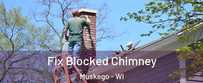  Fix Blocked Chimney Muskego - WI