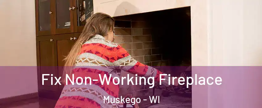  Fix Non-Working Fireplace Muskego - WI