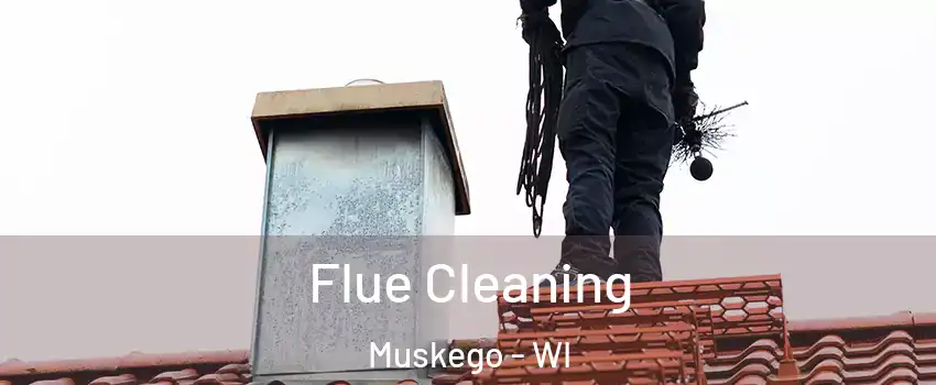  Flue Cleaning Muskego - WI