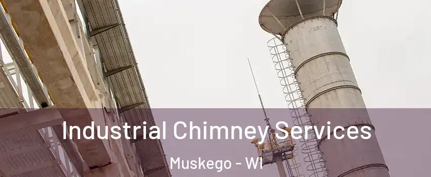  Industrial Chimney Services Muskego - WI