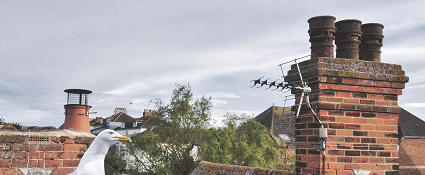 Chimney Cleaning And Restoration in Muskego, Wisconsin