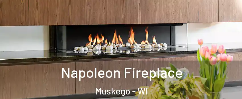  Napoleon Fireplace Muskego - WI