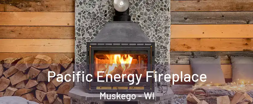  Pacific Energy Fireplace Muskego - WI