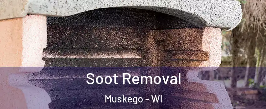  Soot Removal Muskego - WI