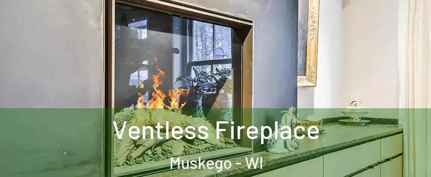  Ventless Fireplace Muskego - WI